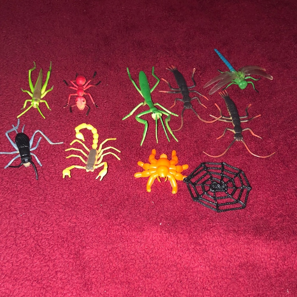 Colorful Insect and Spider Toy Set